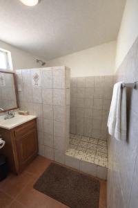 a bathroom with a shower and a sink at Ranchito Buhos in Francisco Zarco