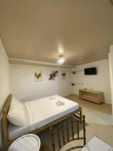 a hospital room with a bed and a tv at Eco Homes in Panglao Island