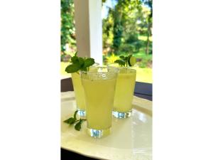 two cocktails on a plate with a mint garnishment at Victoria Nature Resort in Digana