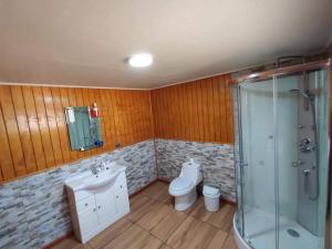 a bathroom with a toilet and a sink and a shower at Hospedaje Fer-Mar in Castro