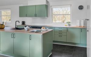 a kitchen with green cabinets and a sink at Amazing Home In Idestrup With Sauna in Bøtø By