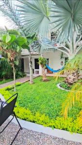 ein Hinterhof mit Rasen und Palmen in der Unterkunft Hotel Henry Bacalar in Bacalar