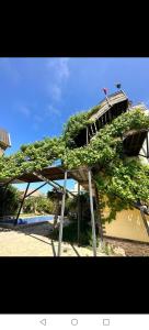 a building with a tree growing on top of it at Baku "ISR" Guest House in Sǝnqǝçal Stansiyası
