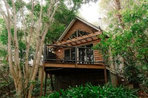 a tree house in the middle of some trees at Shambala Estate Cottages in Mount Tamborine