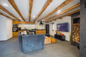 a living room with a blue couch and a tv at Nessa Chalet in Moara de Pădure