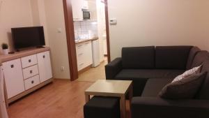 Televízia a/alebo spoločenská miestnosť v ubytovaní Apartament Akuratny Zakopane