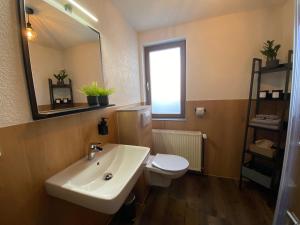 a bathroom with a sink and a toilet and a mirror at Forrest Lounge Schweina in Bad Liebenstein +6 photos