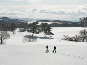 two people walking across a snow covered field at AZUMA FARM Koiwai in Shizukuishi +10 photos