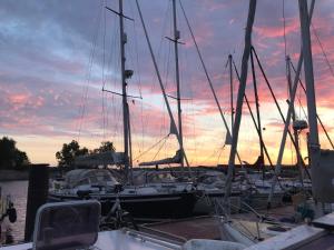 a group of boats docked in a harbor with a sunset at zum Schilfrohr in Neuendorf