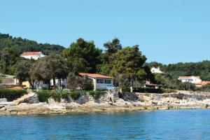 a house on the shore of a body of water at House by the sea in Mali Iž