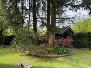 a house with a tree and a bench in the grass at Rust in Voorthuizen