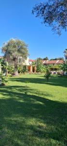 a field of grass with a tree and a building at Amelia's Garden in Kavos