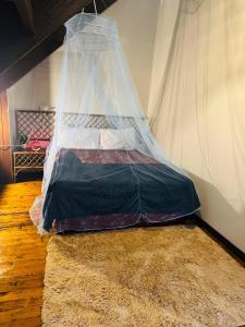 a bed with a net over it in a room at Mirz accomodation FJ in Pacific Harbour +51 photos