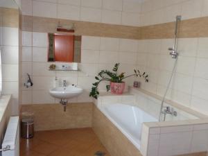Kúpeľňa v ubytovaní Nyirfa Apartmanház