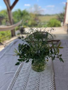 a vase of flowers sitting on a table at Chez Fab in Ferrières-lès-Ray +1 photo