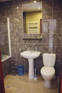a bathroom with a toilet and a sink at Pod Modrzewiem in Pogorzelce