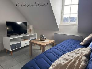 a bedroom with a blue bed and a tv at Murat - La petite maison Murataise in Murat