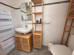 a bathroom with a sink and a toilet at Murat - La petite maison Murataise in Murat +13 photos