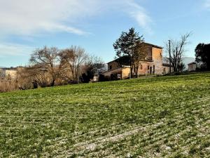 an old house on a hill with a field of flowers at La torre del cappellaio in Fabriano