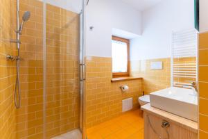 un bagno con doccia e lavandino di Alpedale a Ovaro