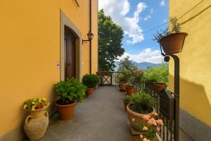 a balcony with a bunch of potted plants at La vista sul Castello in Cerreto