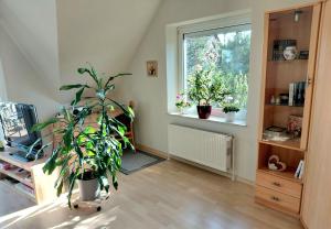 a living room with a potted plant and a window at Ferienwohnung Janine in Neubrandenburg