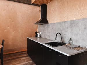 a kitchen with a sink and a counter top at Mulberynas in Stakliškės +37 photos