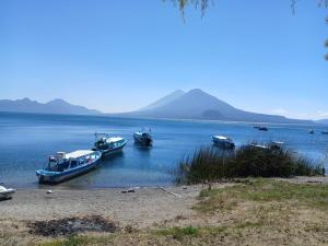 three boats are docked in a body of water at House the Cats in Panajachel