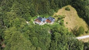 an aerial view of a house in the forest at Bergromantik Ferienwohnung Harmonie mit Sauna, Whirlpool und Bergblick in Marktschellenberg