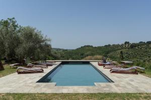 a swimming pool with lounge chairs and a table at Castello Di Potentino in Seggiano