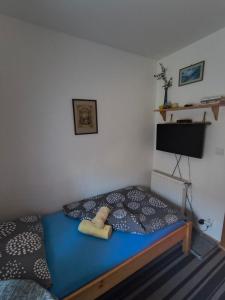 a bedroom with a bed with blue sheets and a television at Penzión Evka in Poprad +51 photos