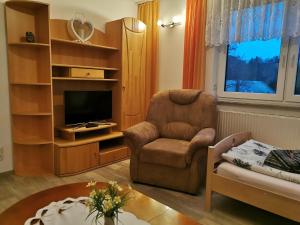a living room with a chair and a television at Reichstädter Ferienidyll in Dippoldiswalde