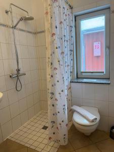 a bathroom with a shower curtain with a toilet and a window at Seeschwalbe in Munkbrarup +14 photos