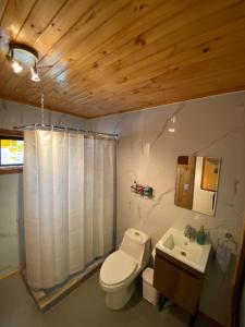 a bathroom with a white toilet and a sink at Hermoso Loft Amoblado Sector Oriente Talca in Talca