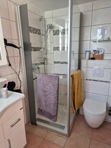 a bathroom with a toilet and a glass shower at Rebenhaus St Martin in Sankt Martin +8 photos