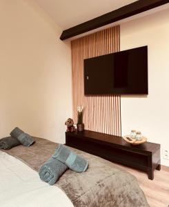 a bedroom with a flat screen tv on the wall at TINY HOUSE - La cabane de Tom in Blaimont +30 photos