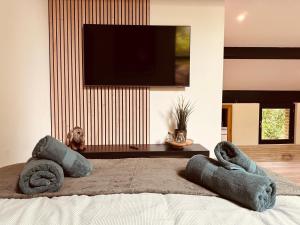 a bedroom with a bed with a television on a wall at TINY HOUSE - La cabane de Tom in Blaimont