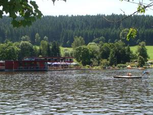 a couple of people in a boat on a lake at Blackforest Ferienwohnung in Sankt Georgen im Schwarzwald