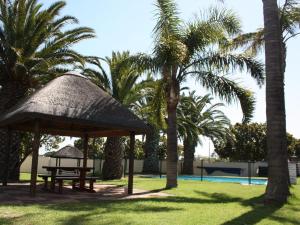 a picnic table and palm trees near a pool at Amies Self-Catering Apartments in Panorama
