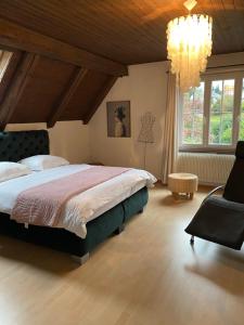 a bedroom with a large bed and a chandelier at La maison du petit bonheur in Moutier