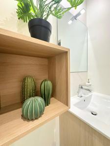 a bathroom with a sink and two plants on a shelf at Le Cabrol Hyper centre WIFI 1er étage in Rodez