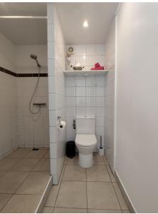 a small bathroom with a toilet and a shower at appartement cosy entier et parking privé sur place a 5min de lille et 10 min du Stade Pierre Mauroy in Mons-en-Baroeul +11 photos