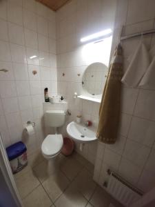 a small bathroom with a toilet and a sink at Mimóza Vendégház - Csaba Vendégház in Balatonszemes