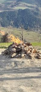 a pile of rocks on the side of a road at Casa Laura in Modigliana