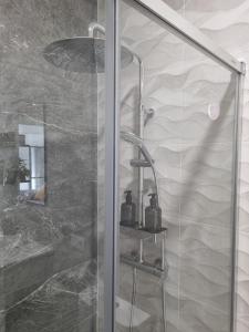a shower with two bottles on a shelf in a bathroom at Apartamentos EL FONTANAR in Almagro