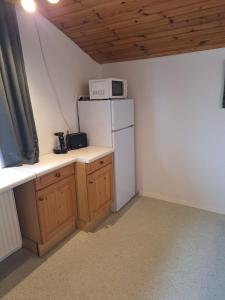 a small kitchen with a refrigerator and a microwave at Ferienwohnung Sankt Josef 2 in Bodensdorf +5 photos