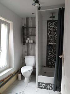 a white bathroom with a toilet and a shower at Studio gare et commerces sur place in Nogent-lʼArtaud