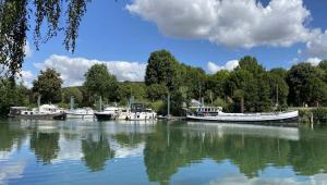 a group of boats are docked in a river at Studio gare et commerces sur place in Nogent-lʼArtaud +4 photos