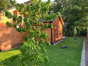 a tree in a yard next to a house at Chalet Liquidambar in Zutendaal