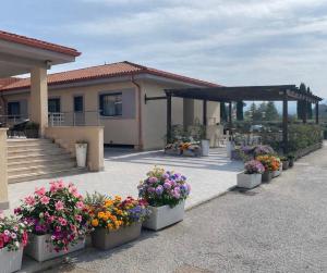 a group of flowers in pots in front of a building at Hotel 325 Tor Vergata in Tor Vergata